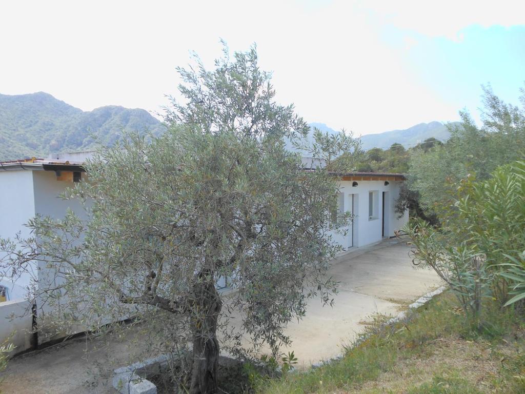 Natur Hotel Tanca Cardedu Exterior photo